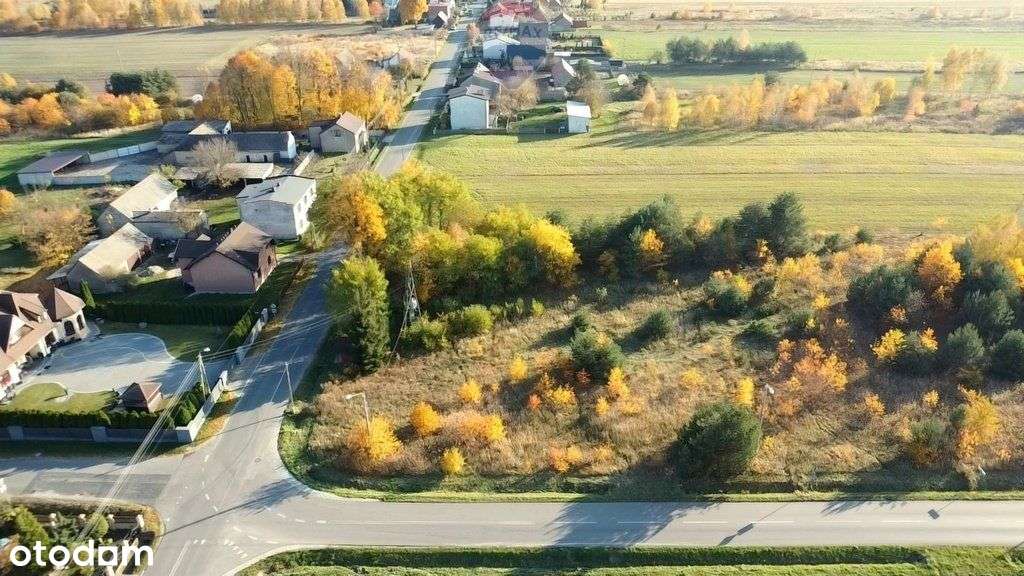 Nowa Niższa Cena - Pełny obrazek: 4/15