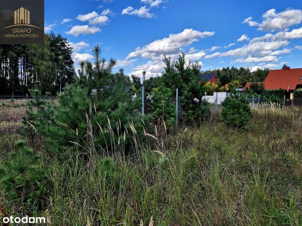 Działka blisko lasu i jeziora - warunki zabudowy - Pełny obrazek: 5/14