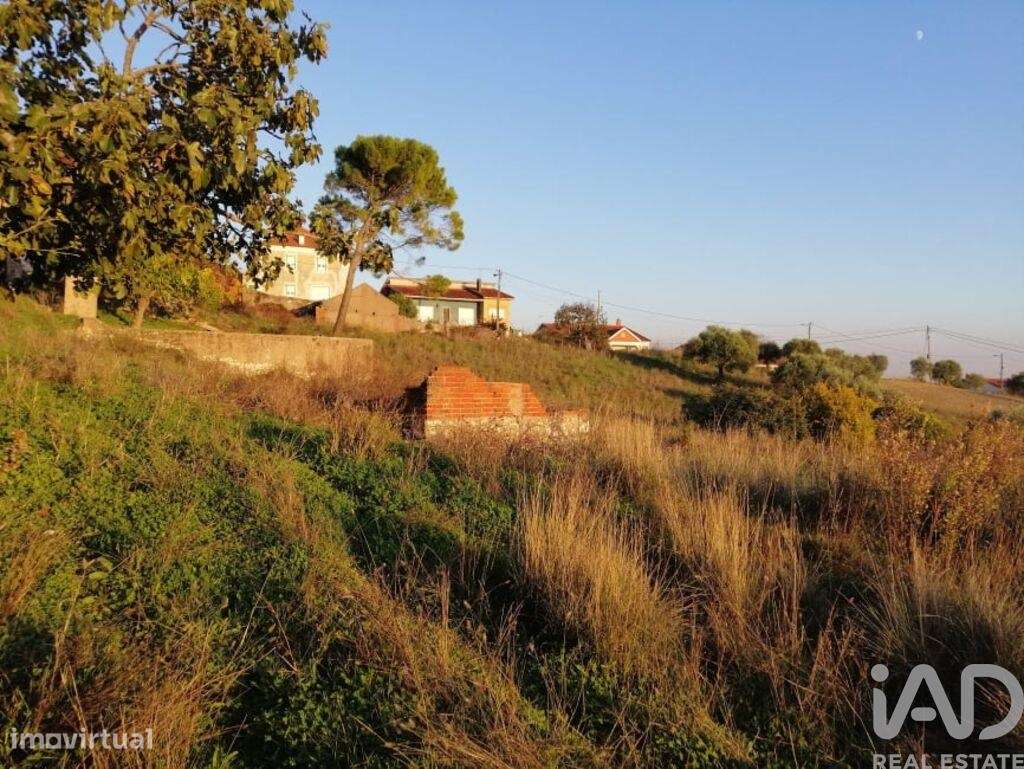 Casa / Villa em Torres Novas (São Pedro), Lapas e Ribeira Branca de 60 - Grande imagem: 5/29