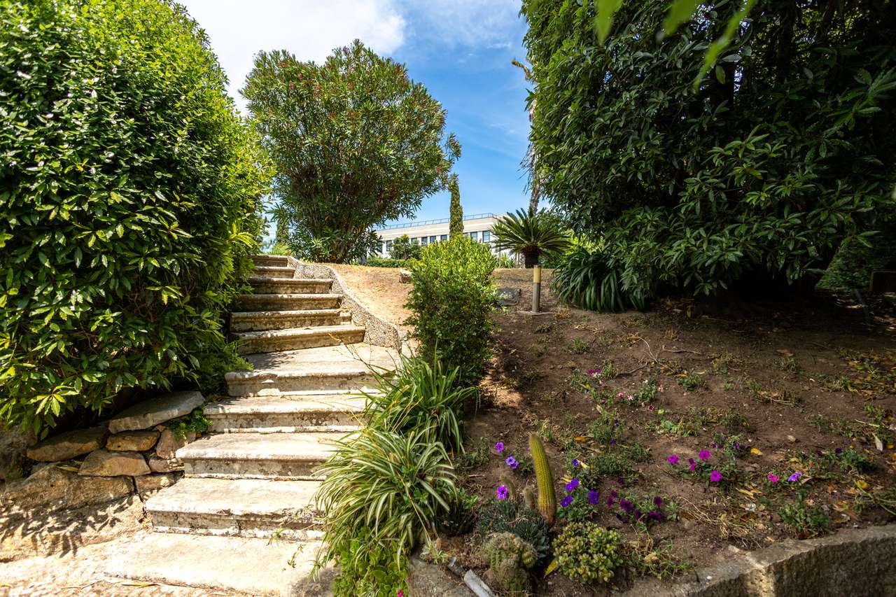 Obra-prima dos anos 70 com potencial ilimitado-33