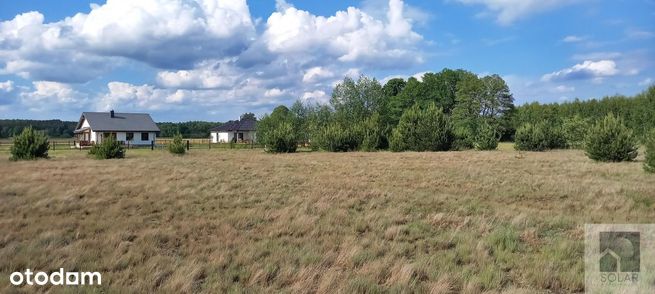 Wyjątkowe, 18km od Bydgoszczy, lokata kapitału!-3