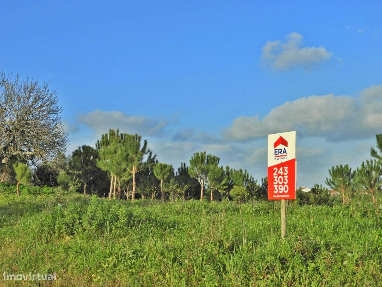 Quintinha com projeto aprovado para construção - Grande imagem: 4/13