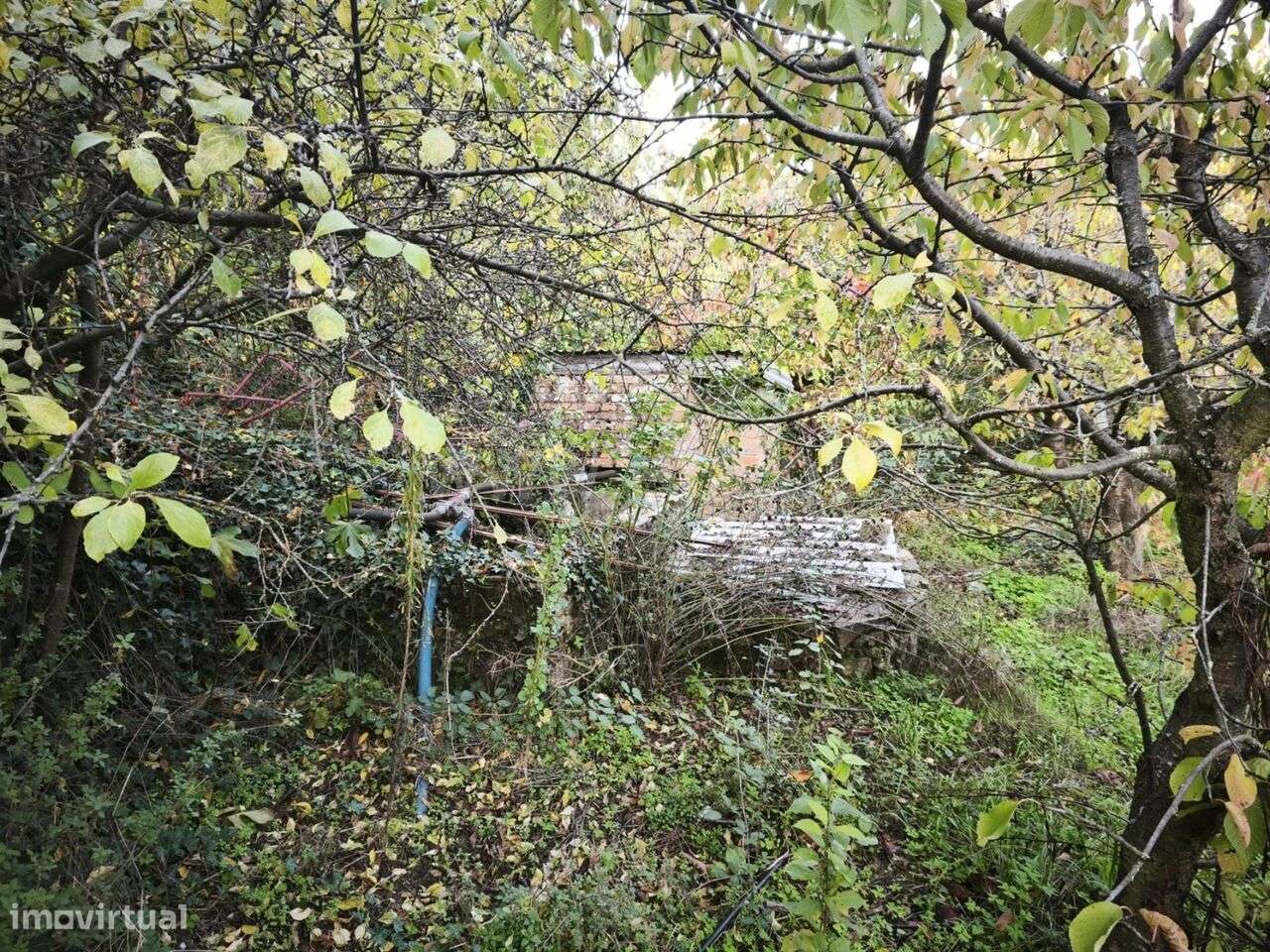 Quintinha / Fundão, Fundão - Grande imagem: 2/5