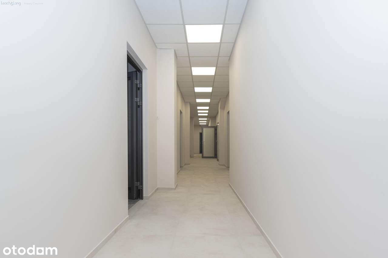 Lokal parterowy 347 m2 ok ul. Zwierzynieckiej  Kraków - Pełny obrazek: 5/11