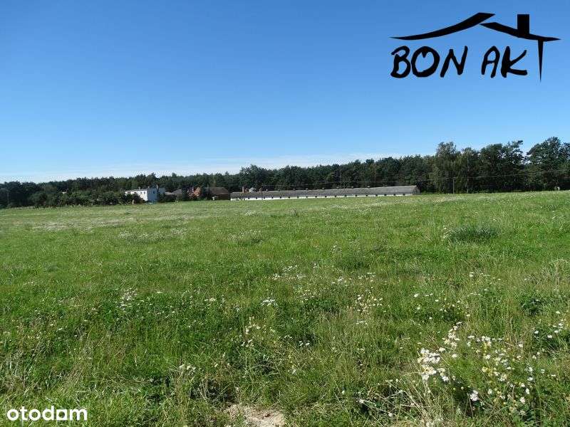 Działka z widokiem na Zalew Radzyny - Pełny obrazek: 5/8