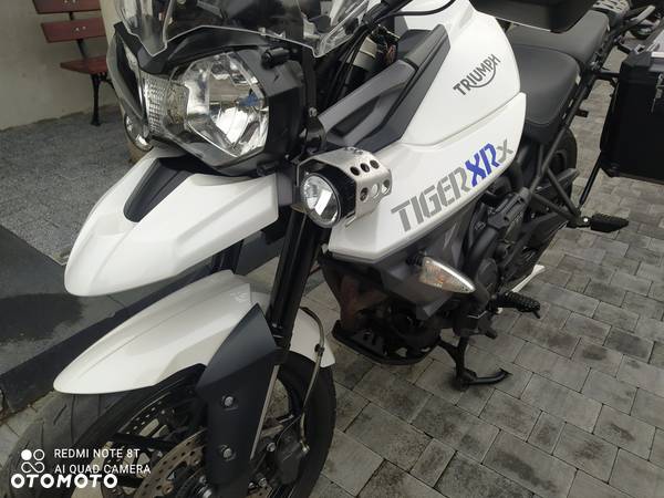 Triumph Tiger - 17