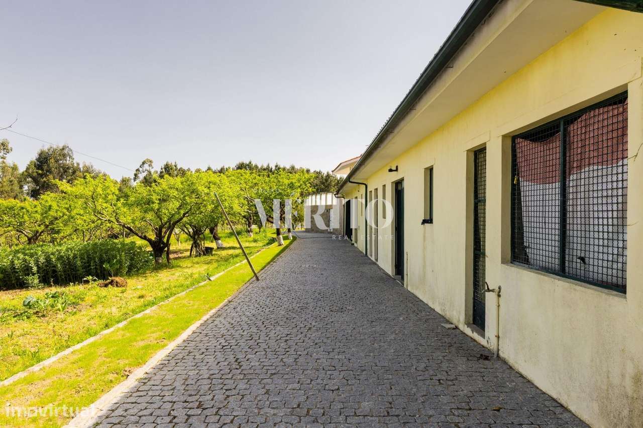 Quinta no Coração do Douro – Cinfães, Viseu-36