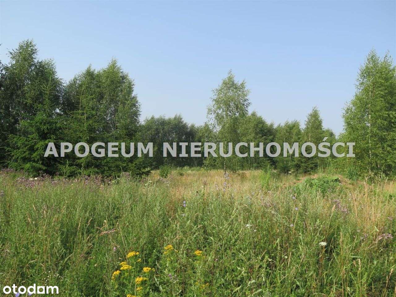 Działka budowlana w Kurianach - z mpzp-5