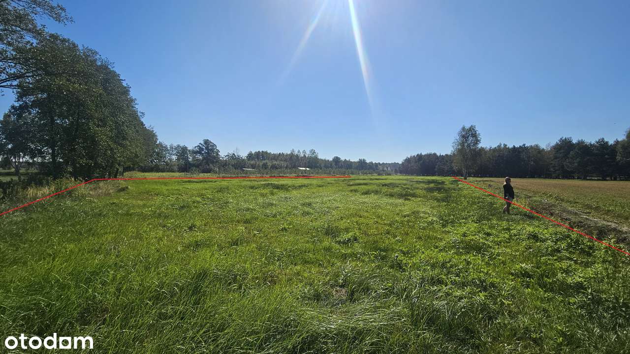 Luboradów – działka budowlana z dużą działką rolną przy lesie, 9 000m2 - Pełny obrazek: 5/7