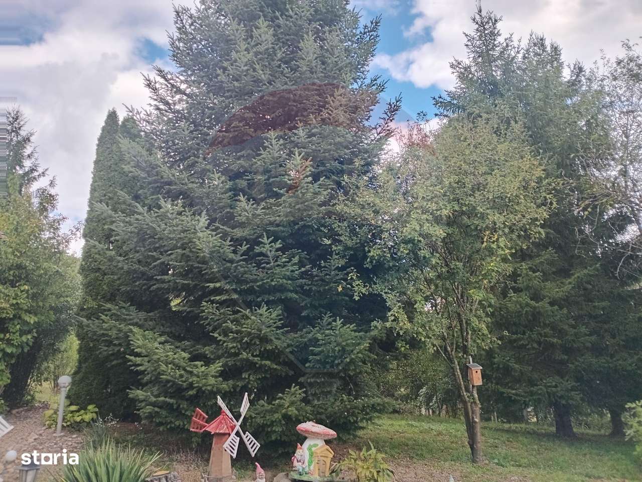 OCAZIE!!! CASA SUPERBA cu teren in JULITA jud Arad in M tii Zarandului - Imagine principală: 5/20