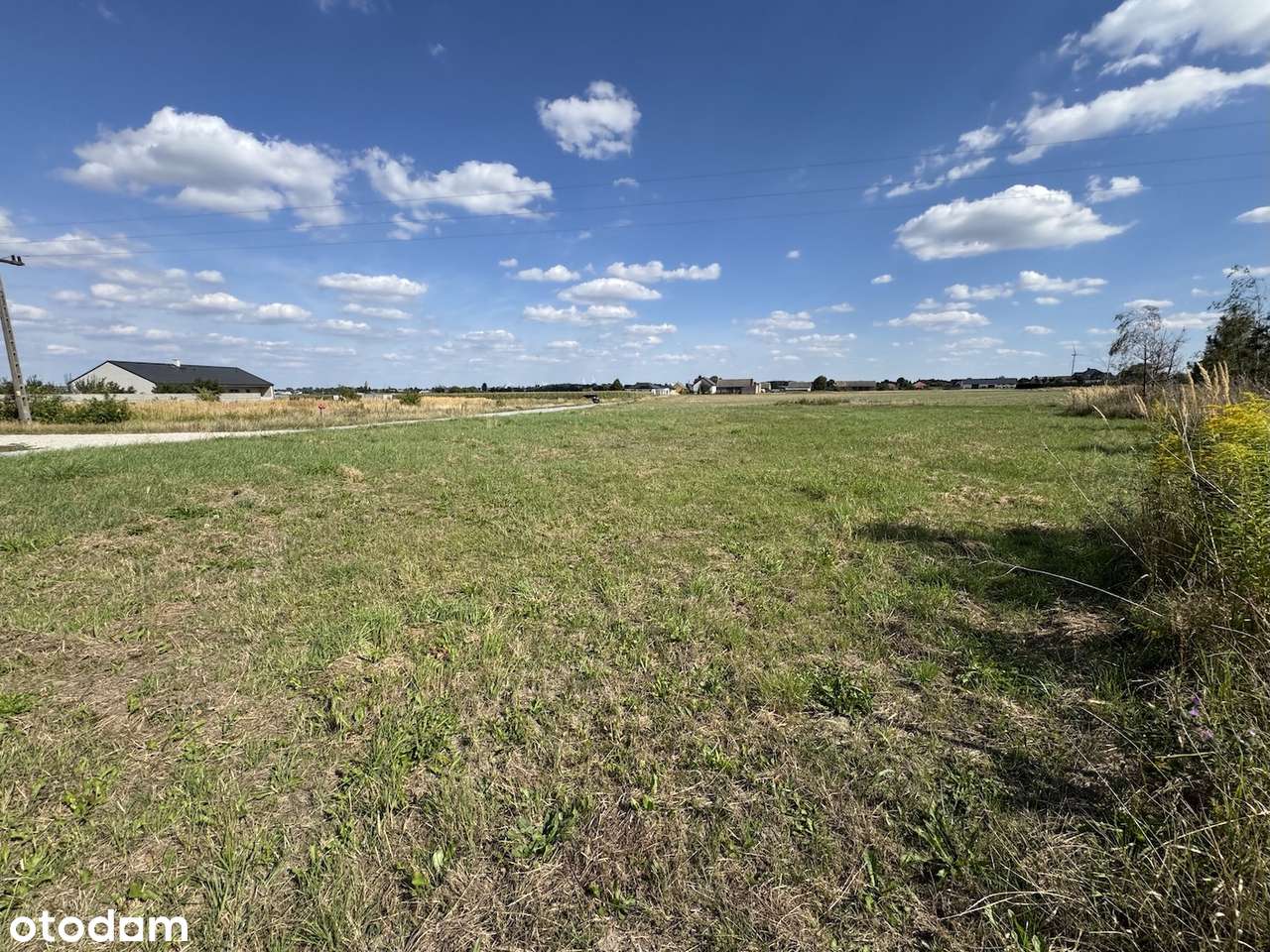 Działka 20 ar w centrum Chojęcina przy asfalcie-13