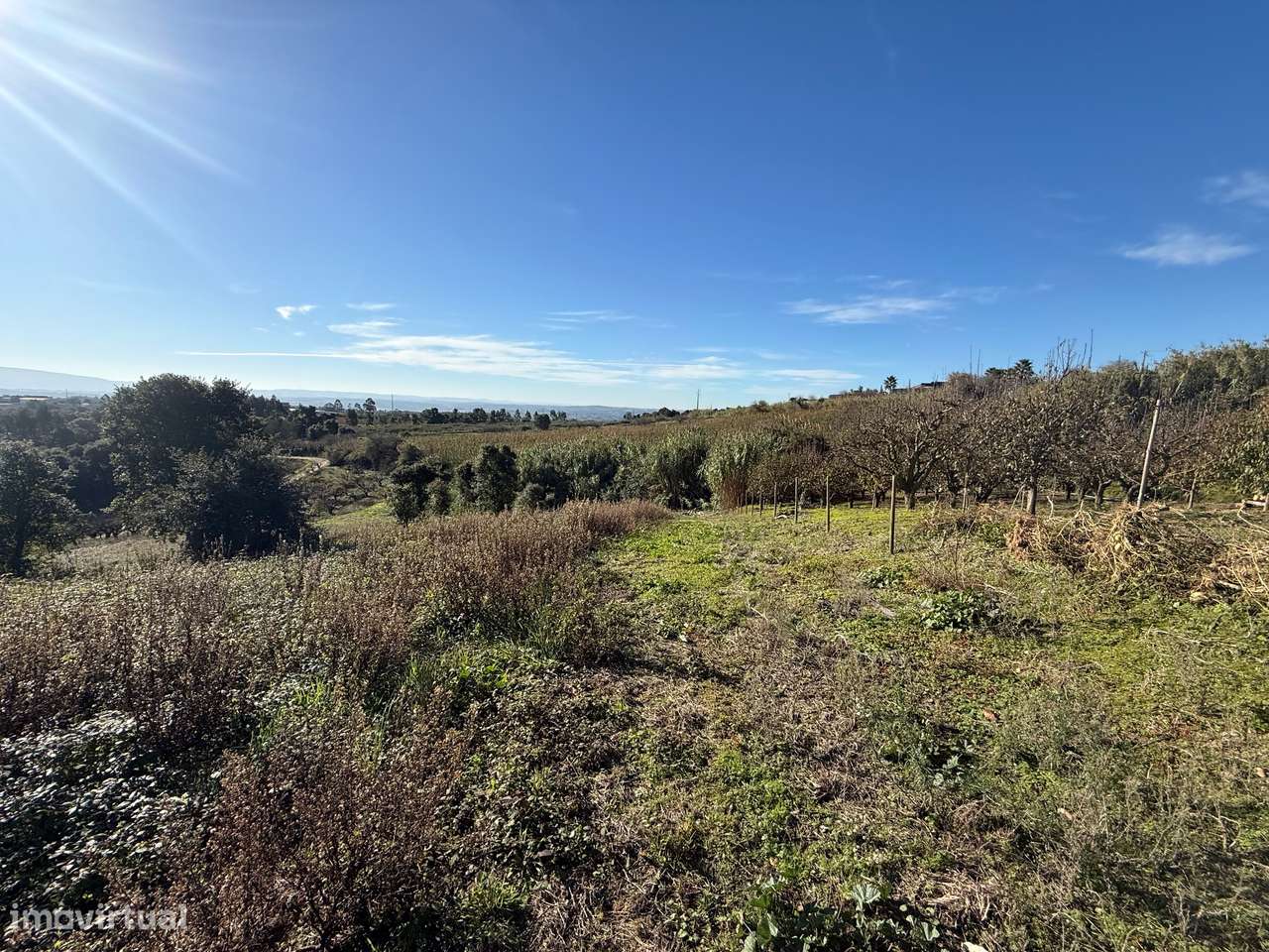 Terreno de 2.480m2 para construção - Usseira, Óbidos-15