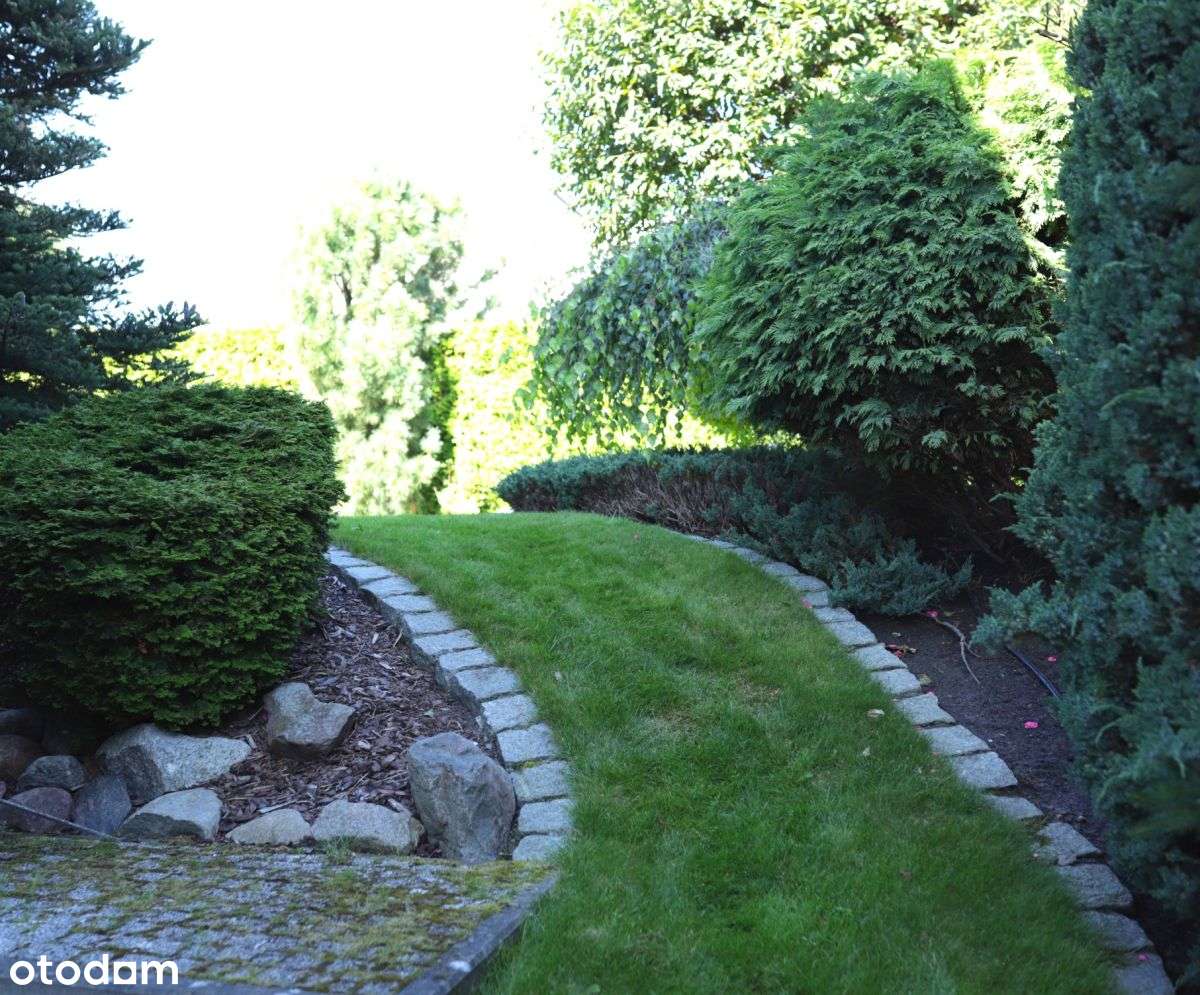 Nieruchomość Z Potencjałem W Centrum-4