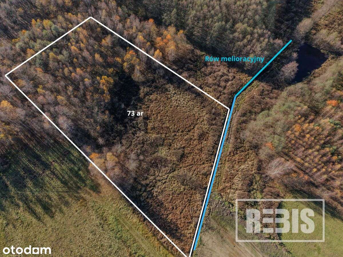 Działka Zdżary z WZ (10,5a) + 73a pod staw-3