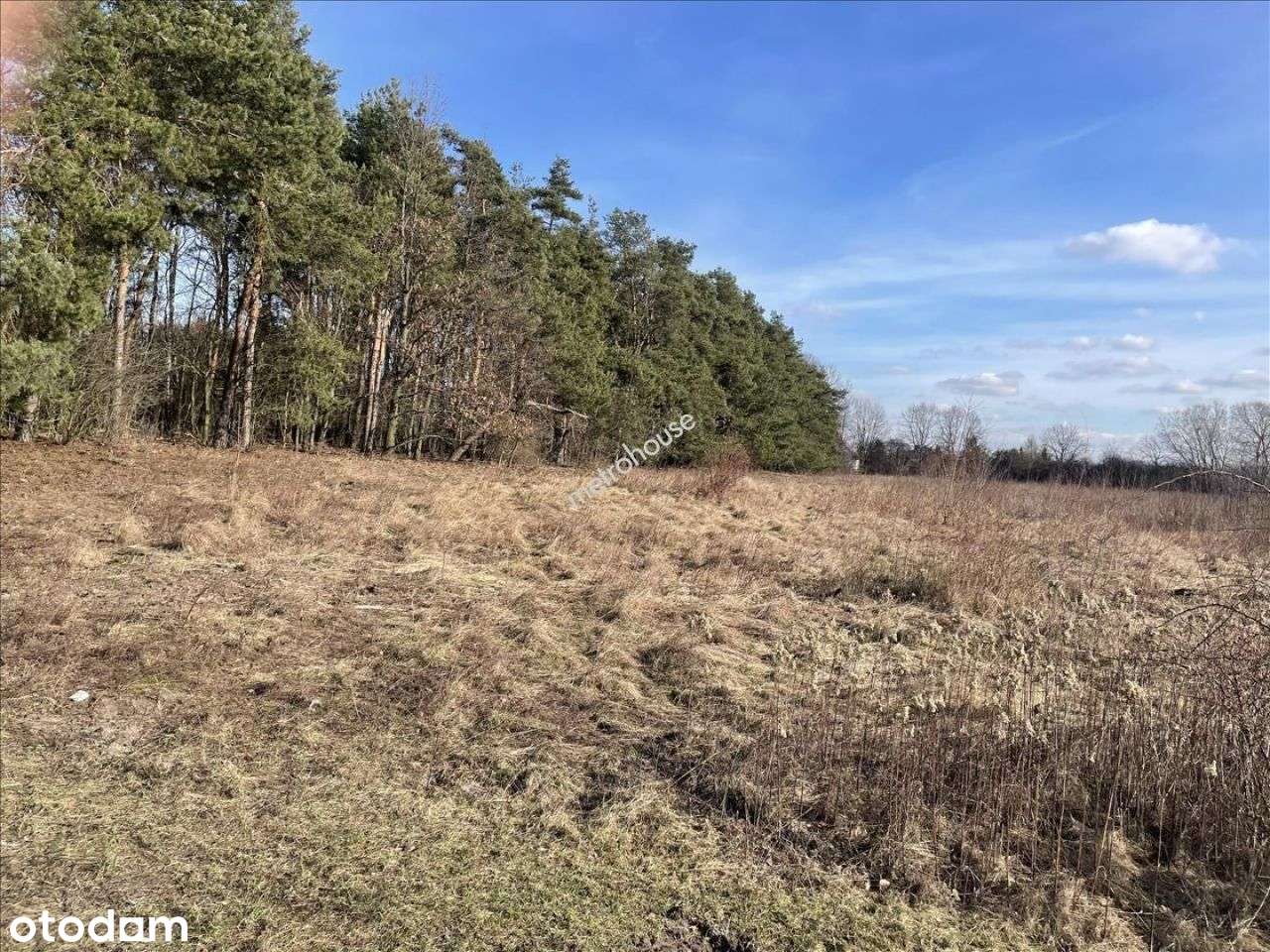 Olbrzymia działka mieszkaniowo usługowa, Białołęka