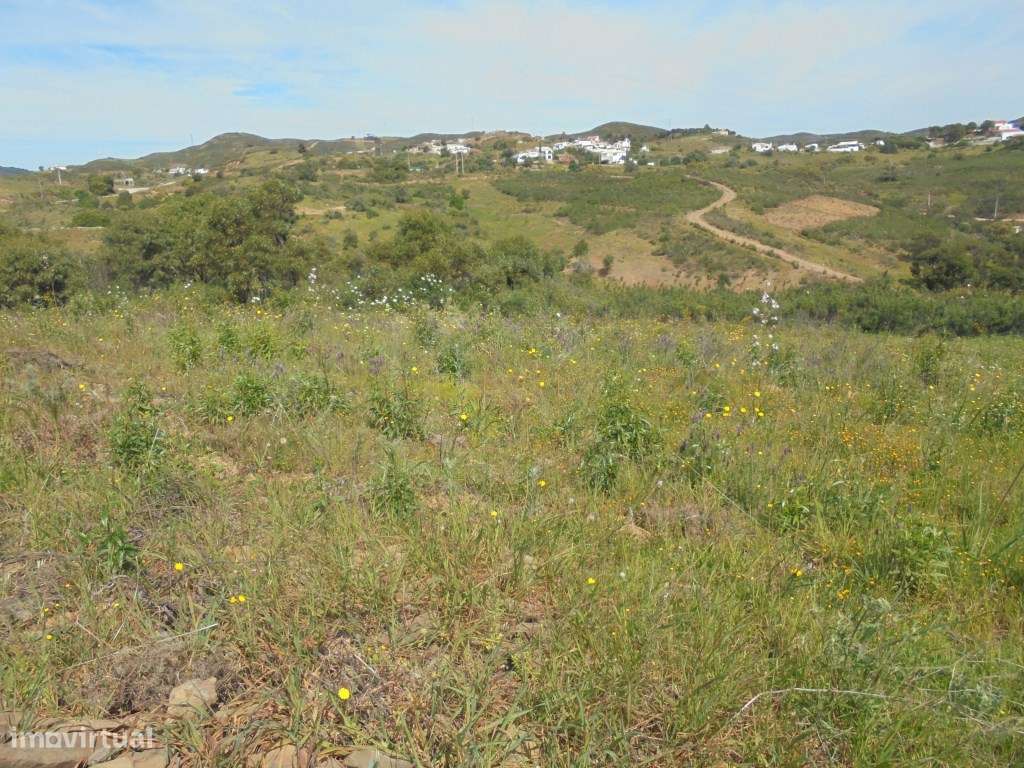 Terreno rústico com 3600m2, Conceição de Tavira, Algarve - Grande imagem: 4/13