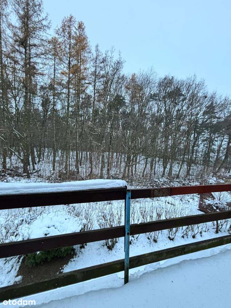 Mieszkanie w lesie - do remontu-1