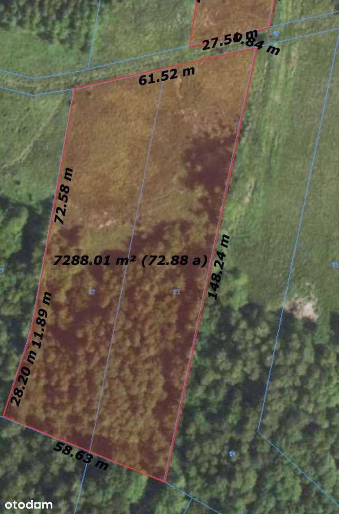 Działka Zdżary z WZ (10,5a) + 73a pod staw-6