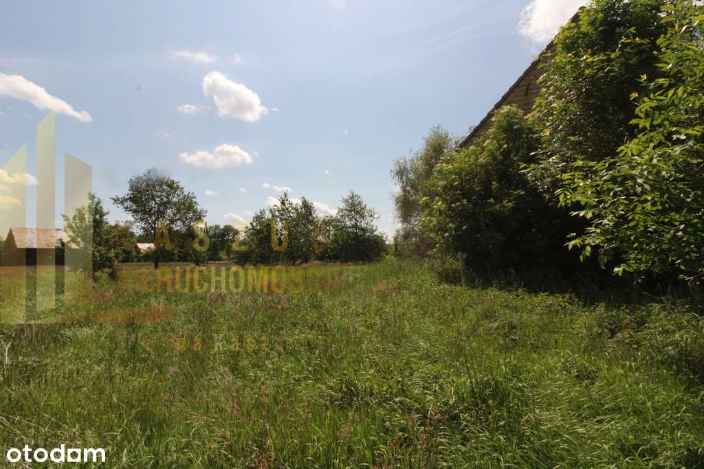 Duża działka w Grotowie - Pełny obrazek: 5/17