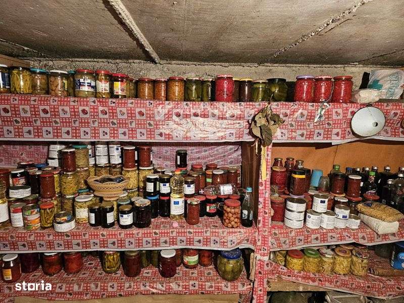 Casa de vanzare Plostina-Motru - 100000 euro(neg) - Imagine principală: 5/8