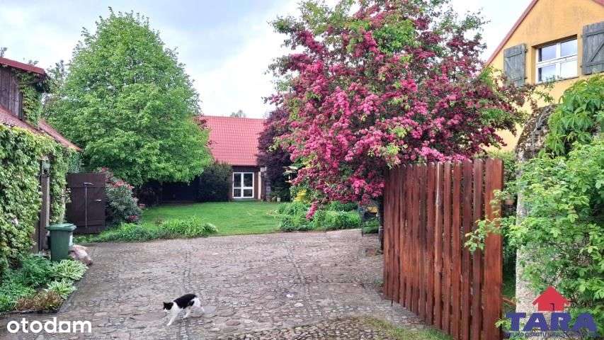 Żyj w zgodzie z naturą! - Pełny obrazek: 4/20