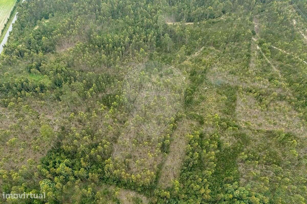 Terreno  para venda - Grande imagem: 2/4