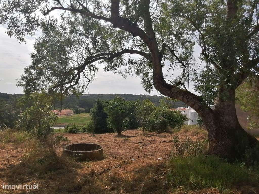Terreno em Óbidos com grande potencial para plano urbanístico - Grande imagem: 3/12