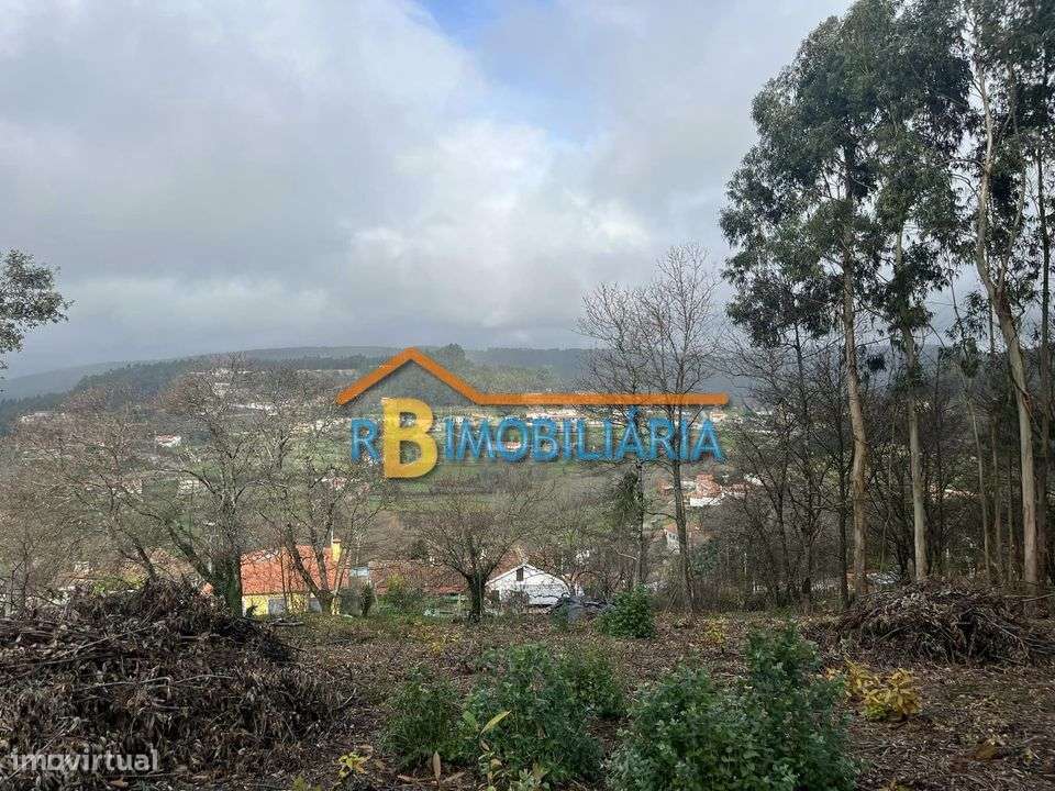 Terreno para construção em Tropeço - Arouca - Grande imagem: 4/7