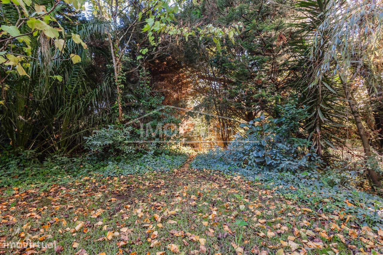 Moradia/Quinta em Vale de São Gião, Milharado, Mafra-52