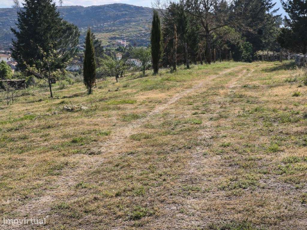 ATIVO TURÍSTICO + QUINTA DE EXCEÇÃO NA BEIRA ALTA-34