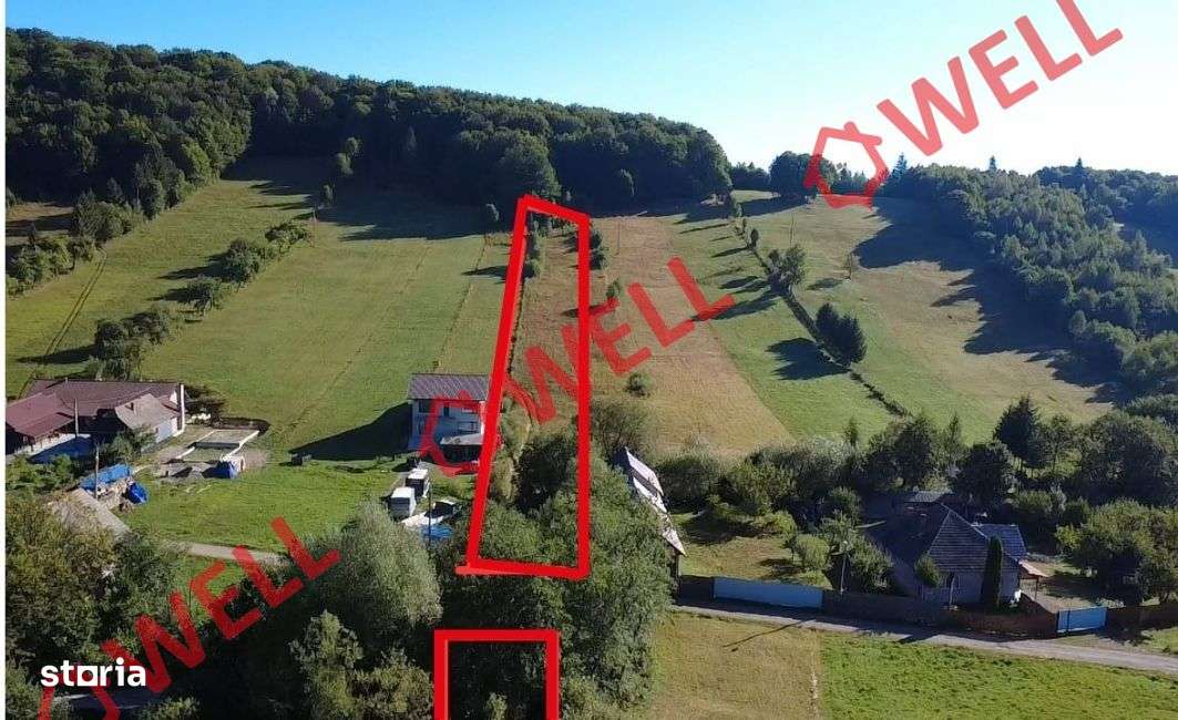 De vânzare teren extravilan în Întorsura Buzăului, Brădet!-4