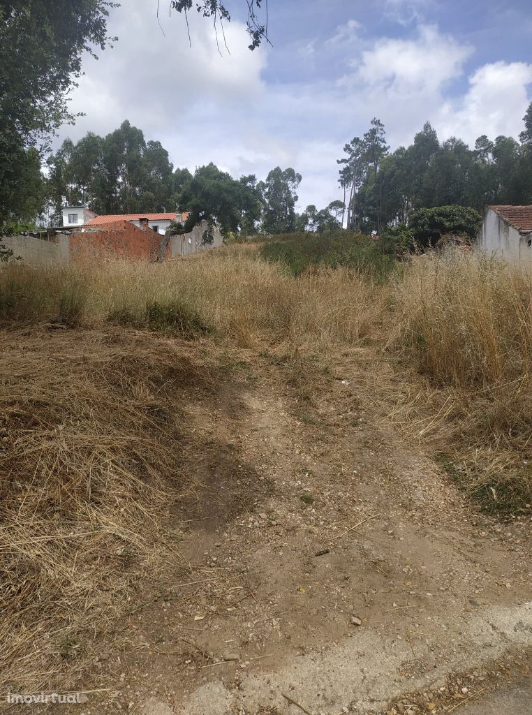 Terreno com aprovação para construção de moradia I Fala I Bemposta