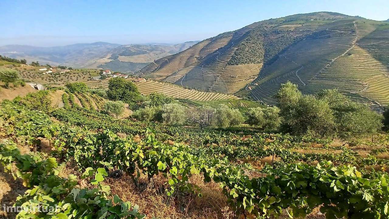 Quinta  para venda-3