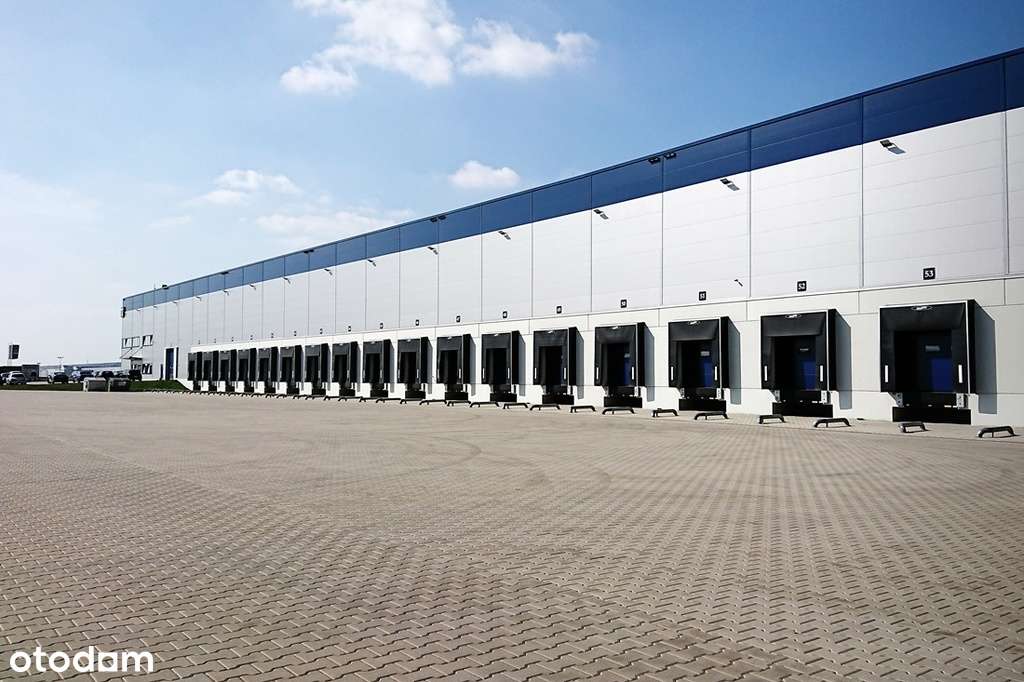 Hala magazynowa klasy A w północnej części Łodzi - Pełny obrazek: 4/5