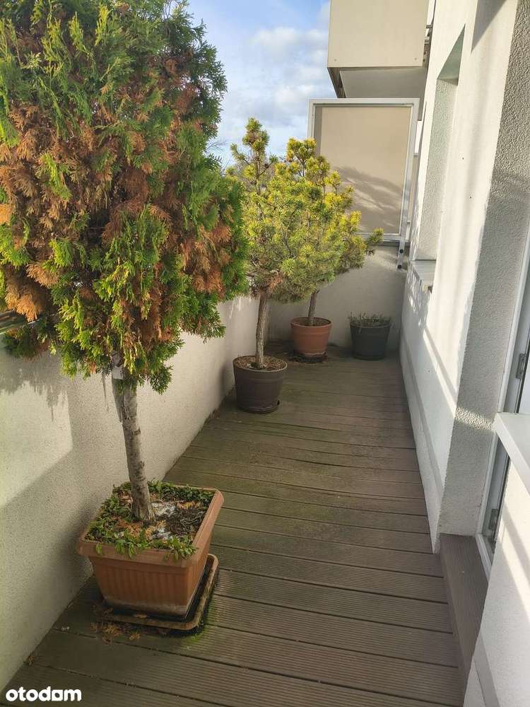 Rezerwacja! Funkcjonalne mieszkanie 2-pokojowe, Solec Kujawski-6