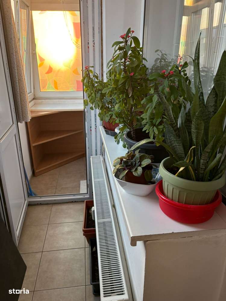 garsoniera chisinau-1