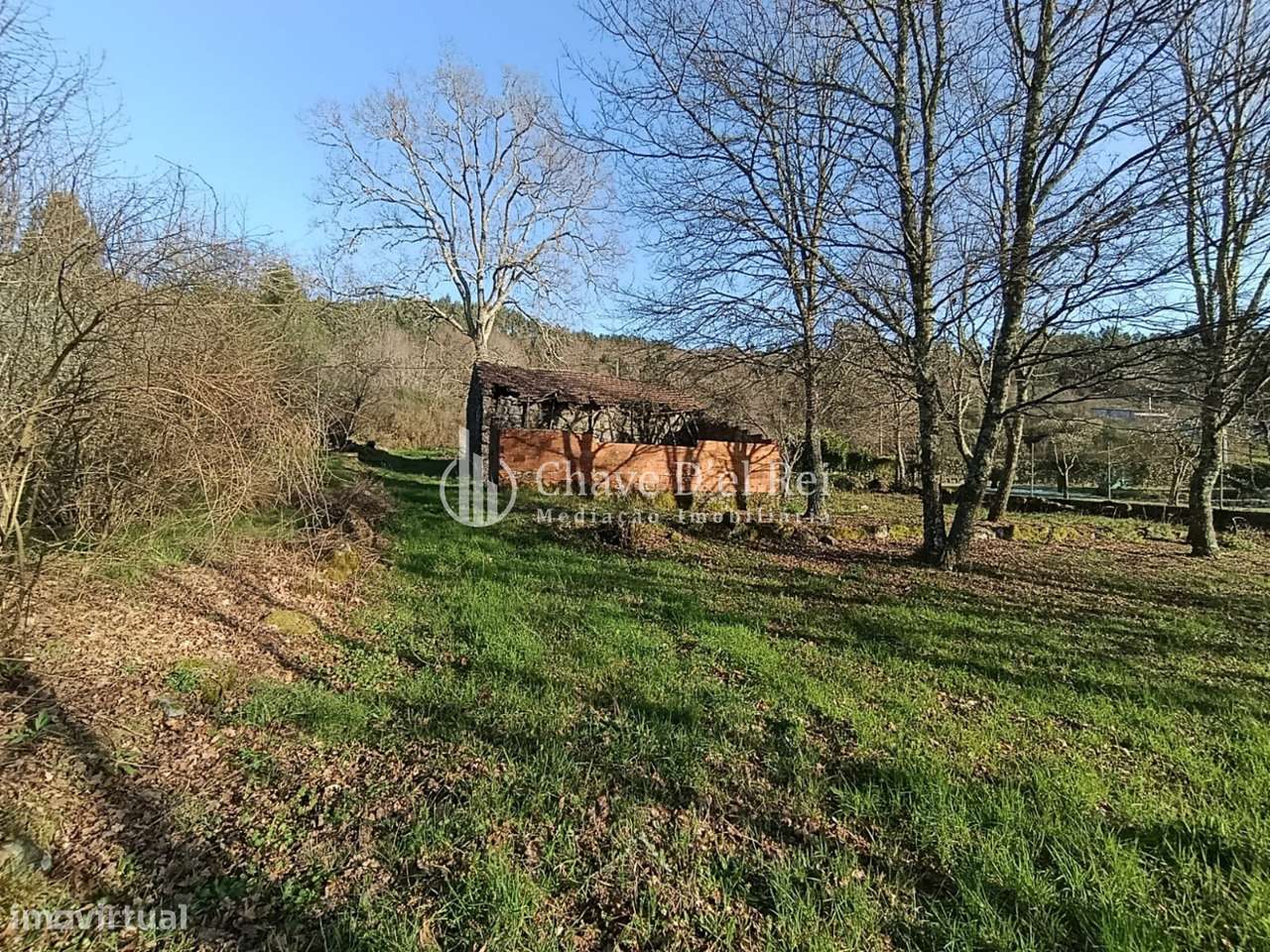 Terreno  Venda em Couto de Baixo e Couto de Cima,Viseu-0