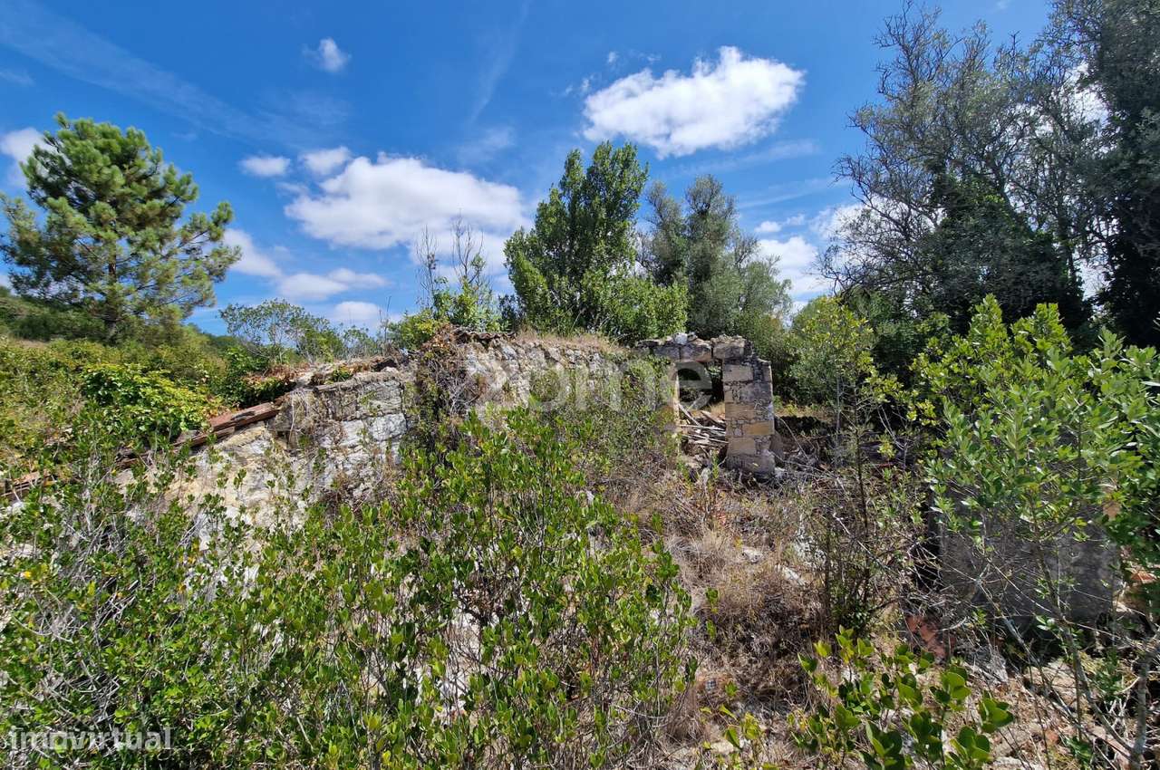 Terreno Rústico 11.878m2 vale da Talha Carvalhal Santarém - Grande imagem: 5/25