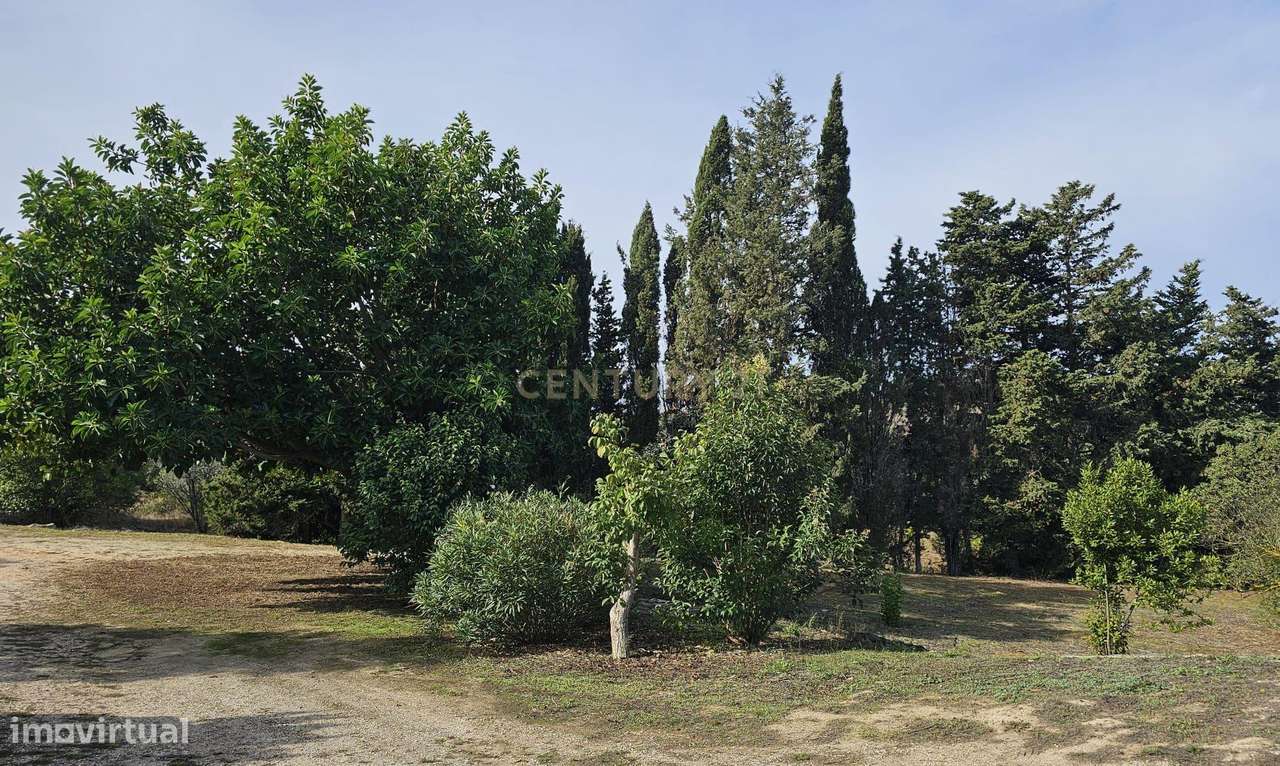 Quinta em Lagos, Praia da Luz,  46.000 m2, 2 casas e 2 Armazéns-12