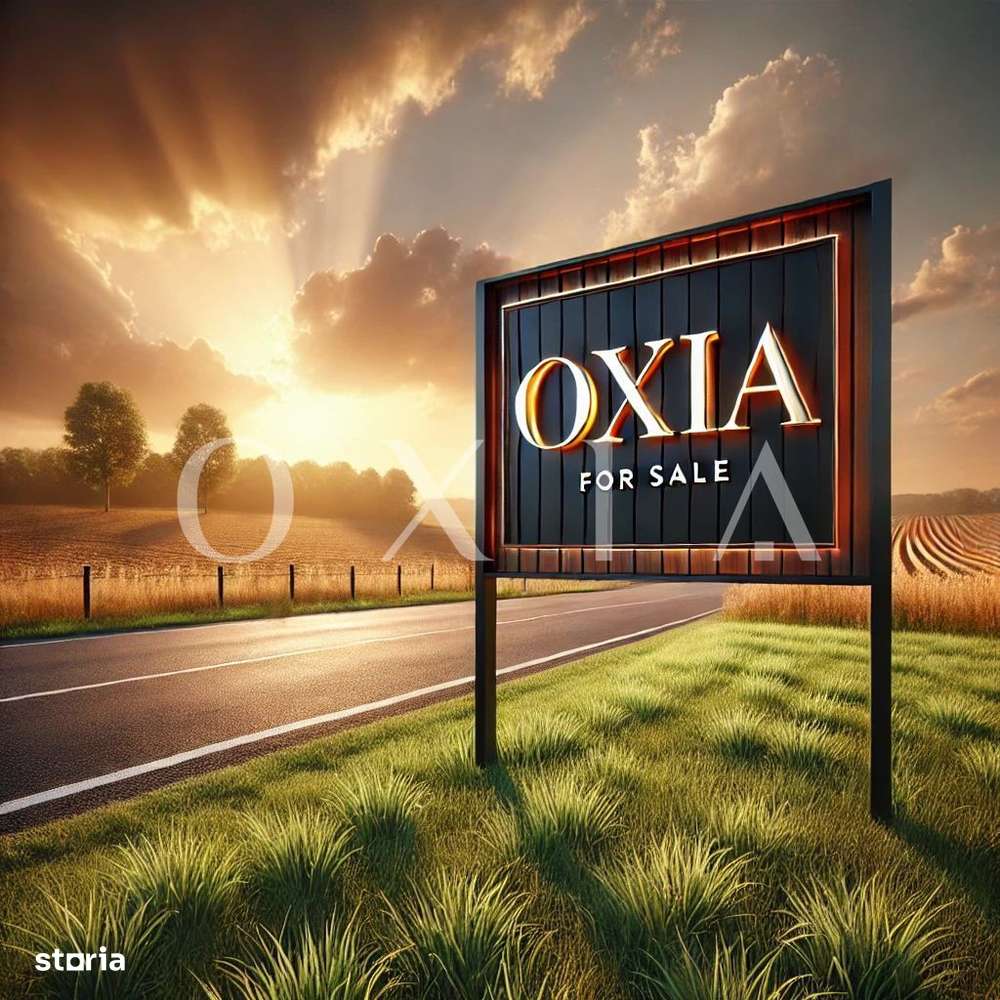 OX647 Terenuri pentru servicii si spatiu verde – Mosnita Noua, zona Va - Imagine principală: 3/3