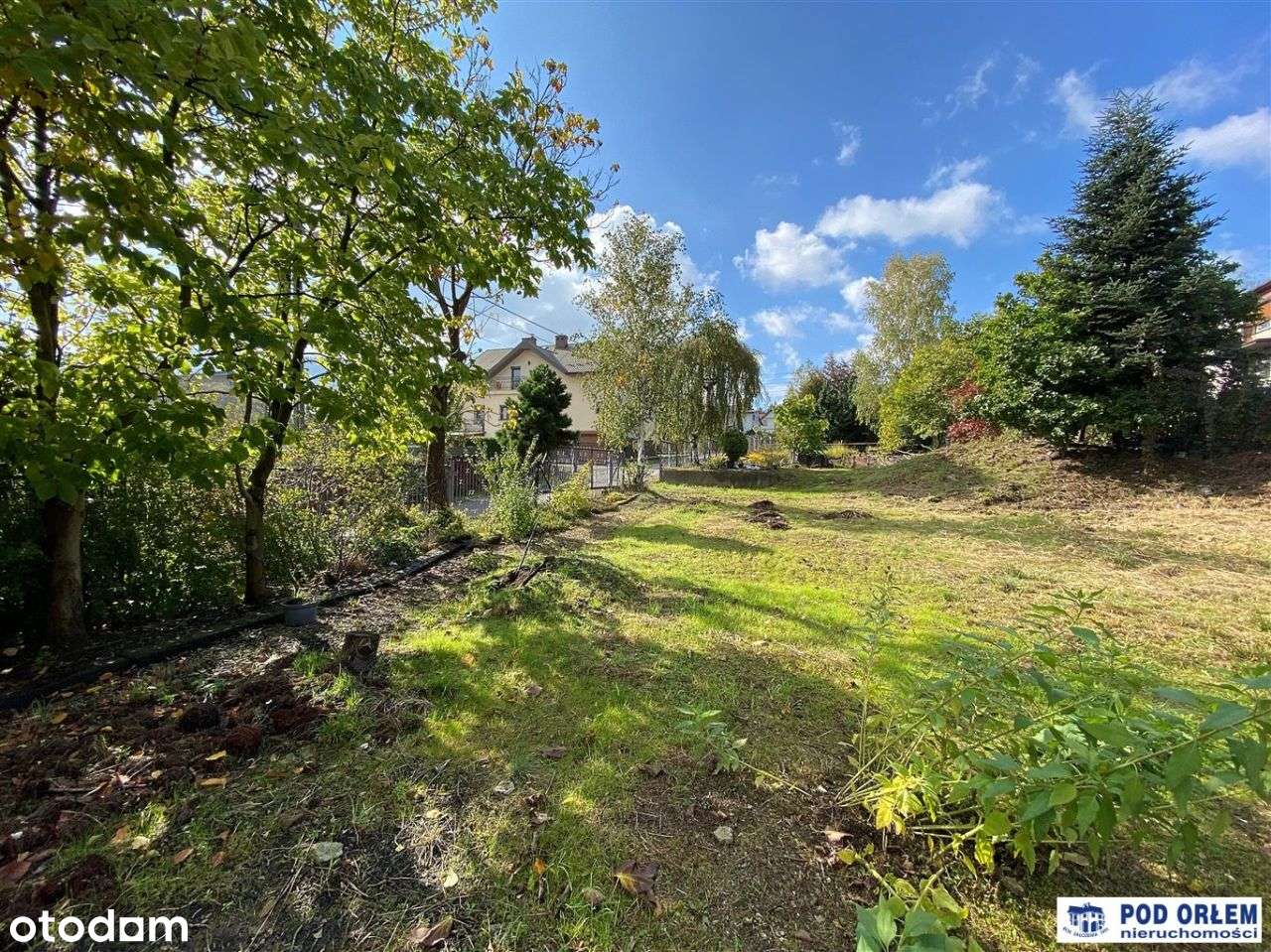 Kozy na granicy z Bielskiem - widok na góry - Pełny obrazek: 4/6