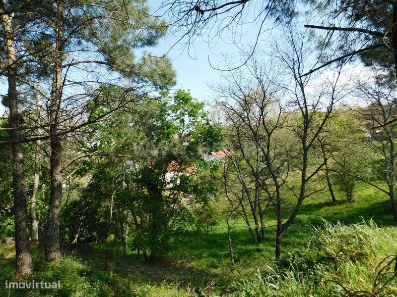 Lote / Seia, Seia - Grande imagem: 2/5