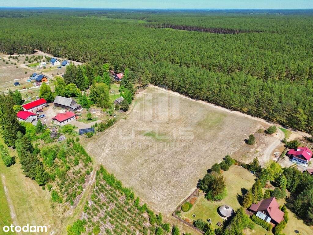 Działka letniskowa w okolicy jeziora i lasu Mermet - Pełny obrazek: 4/14