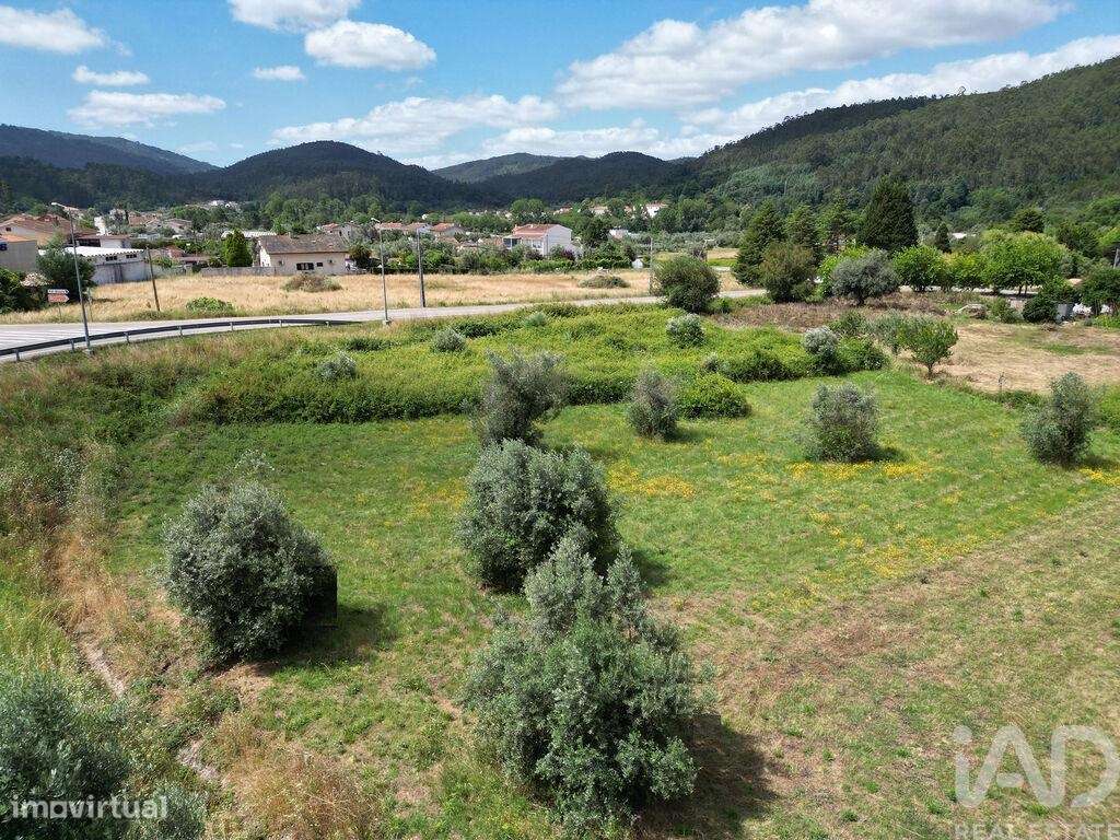 Terreno em Miranda do Corvo de 1840,00 m2 - Grande imagem: 2/11