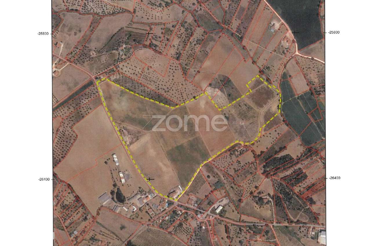 Quinta em Torres Novas-4