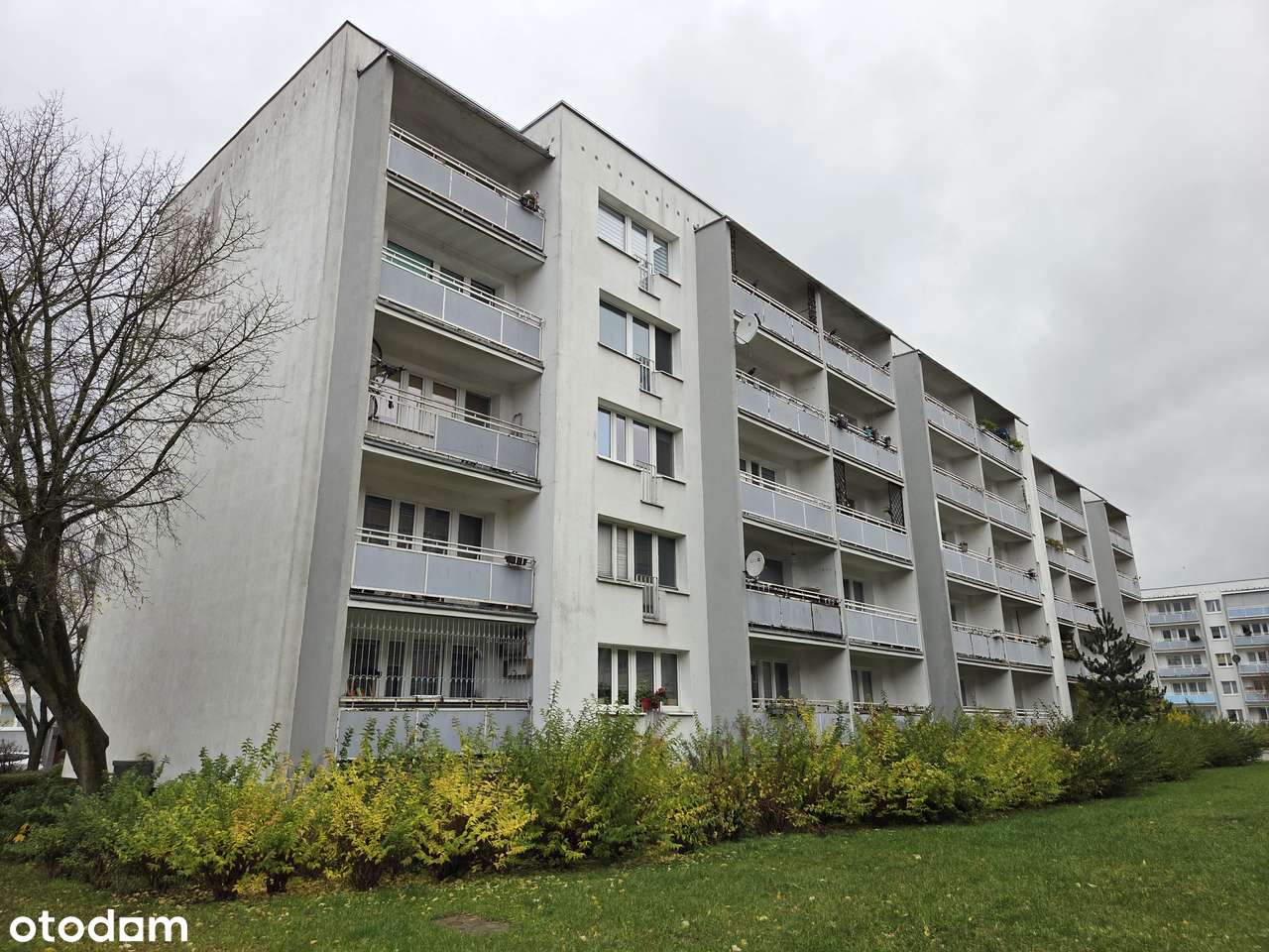 Funkcjonalne mieszkanie o pow. 49,9 m² na Piątkowie (+loggia, piwnica) - Pełny obrazek: 1/10