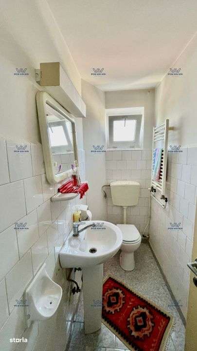 Proprietate Exceptionala cu Potential Dublu in Valea Ursului, Arges-15