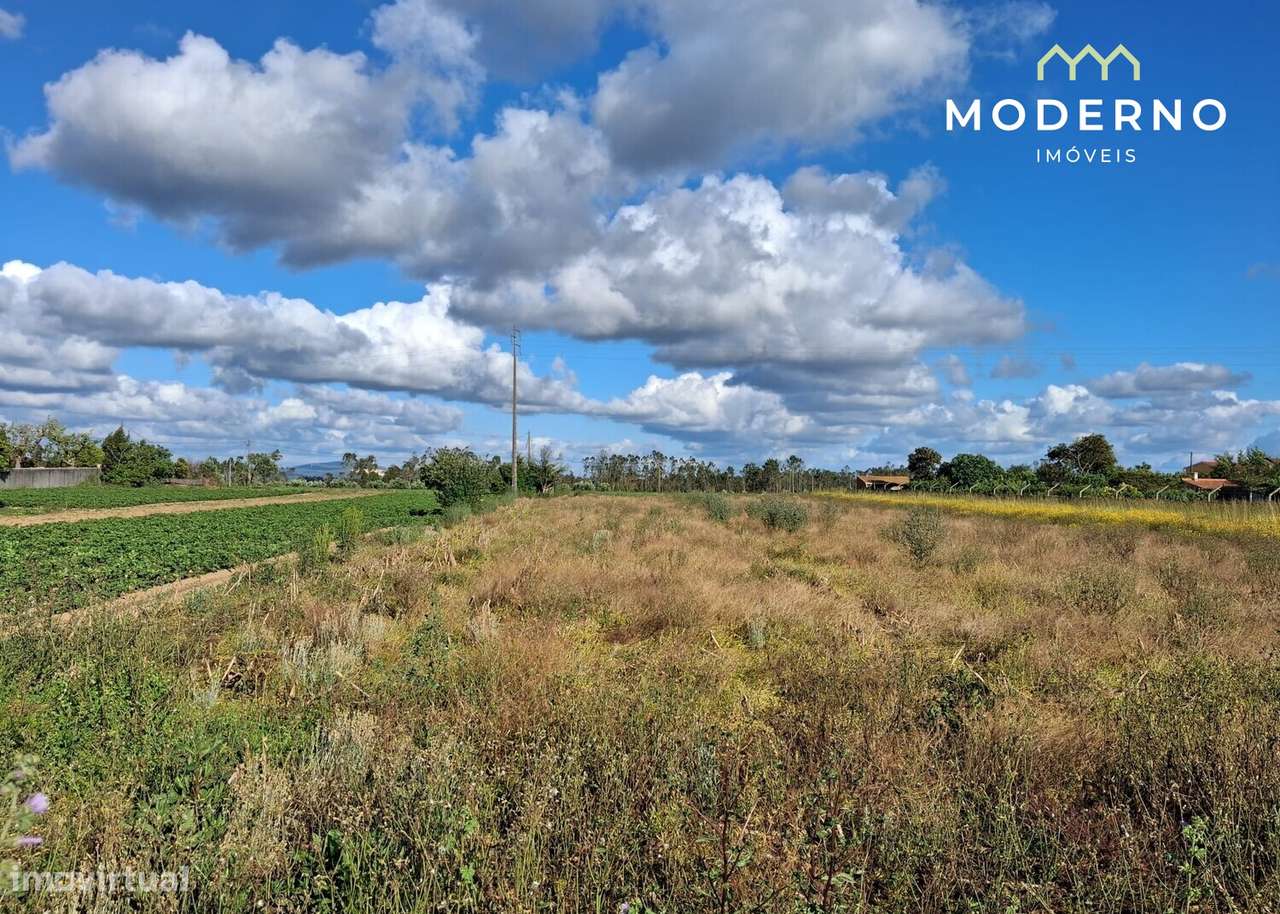 Terreno Construção – Antões, Guia, Pombal-17