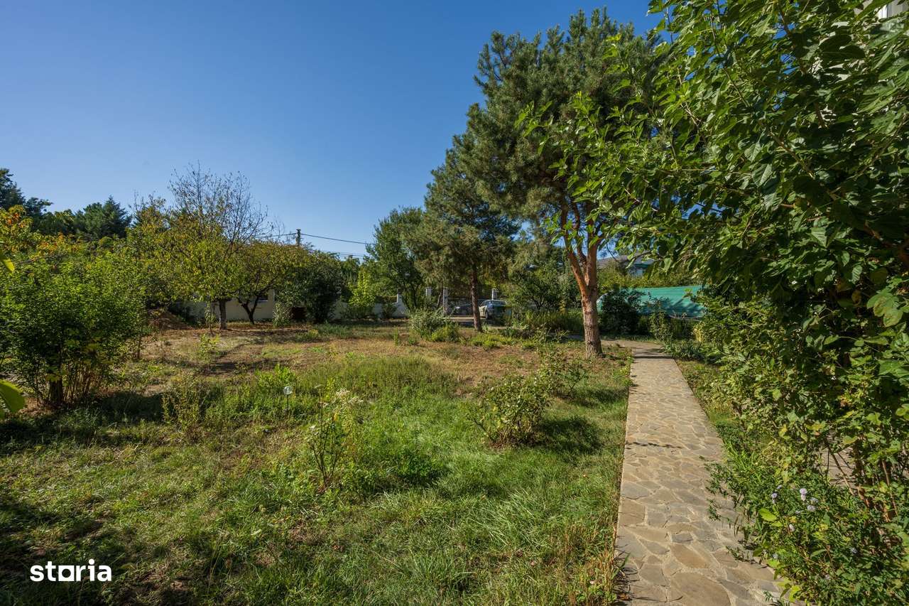 PROPRIETATE UNICA: 1.618 MP TEREN  IN PIPERA, CU VILA SOLIDA SI GRADIN-16