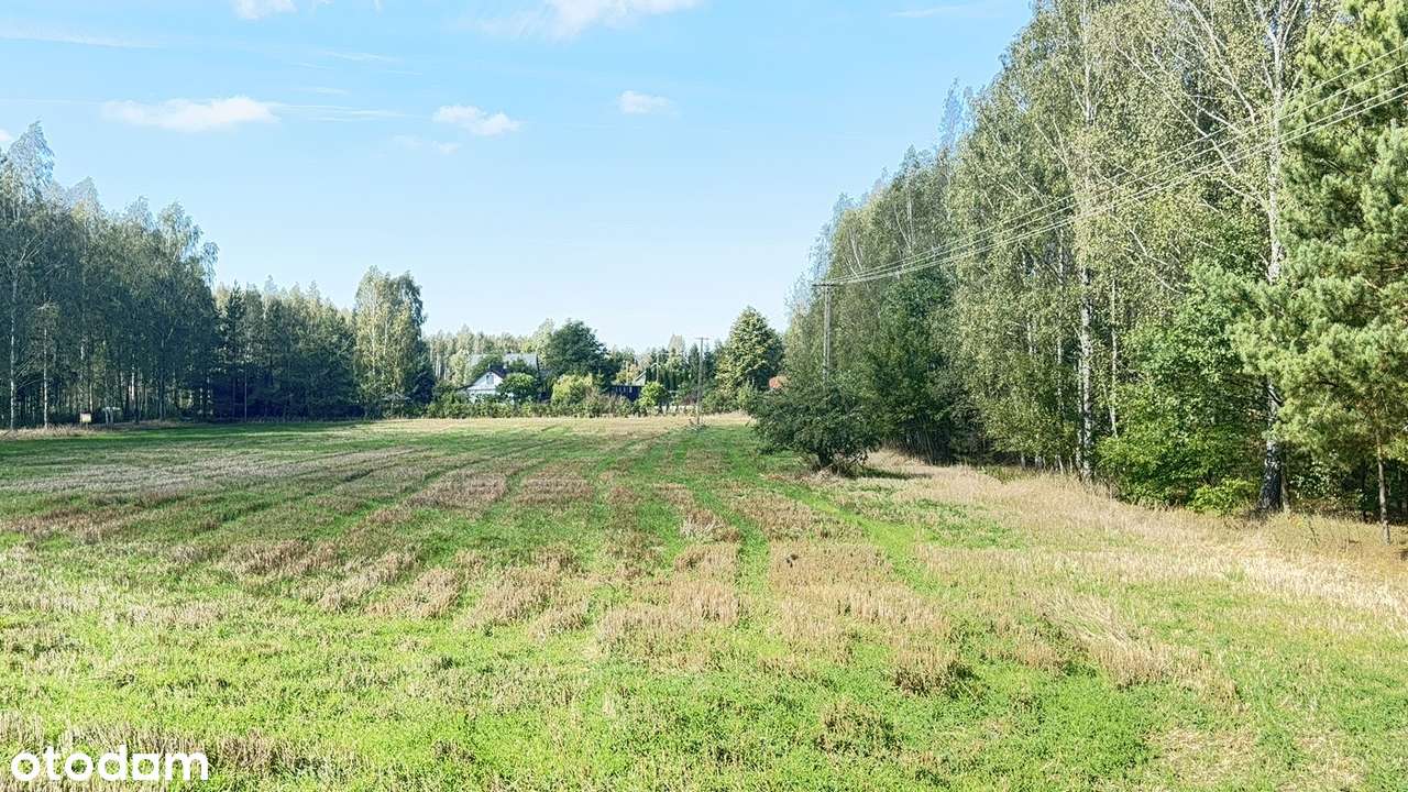 7 400 m² w sercu Podlasia – Twoja część natury w Dubinach!-6